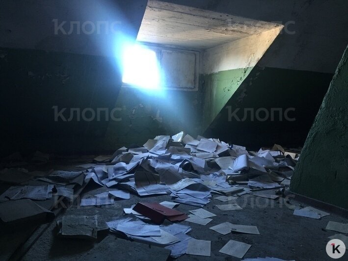 В заброшенном здании на Артиллерийской обнаружены тысячи копий паспортов и другие личные документы (фото) - Новости Калининграда | Александр Подгорчук / "Клопс"