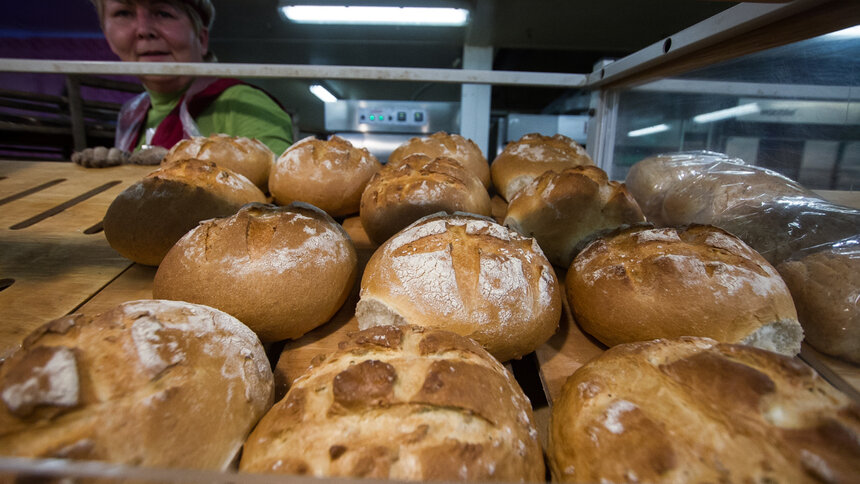 Диетологи назвали самые вредные для здоровья продукты - Новости Калининграда | Архив "Клопс"