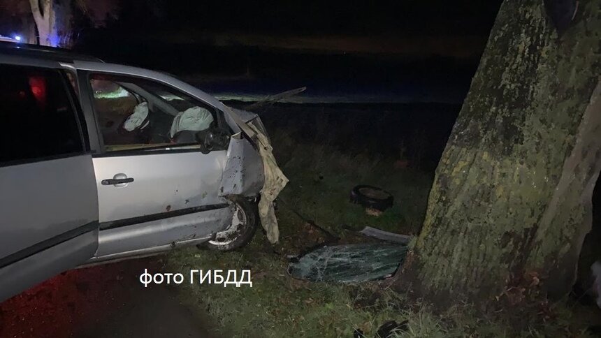 Под Балтийском Ford врезался в пень и дерево, пострадали водитель и два пассажира - Новости Калининграда | Фото: ГИБДД 39