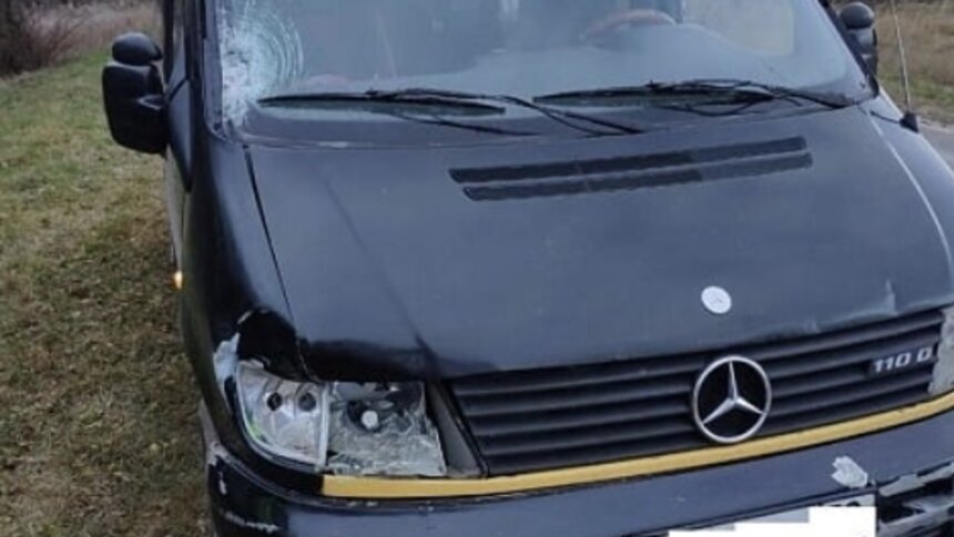 В Краснознаменском районе Mercedes насмерть сбил 65-летнюю женщину - Новости Калининграда | Фото: пресс-служба УМВД России по Калининградской области 