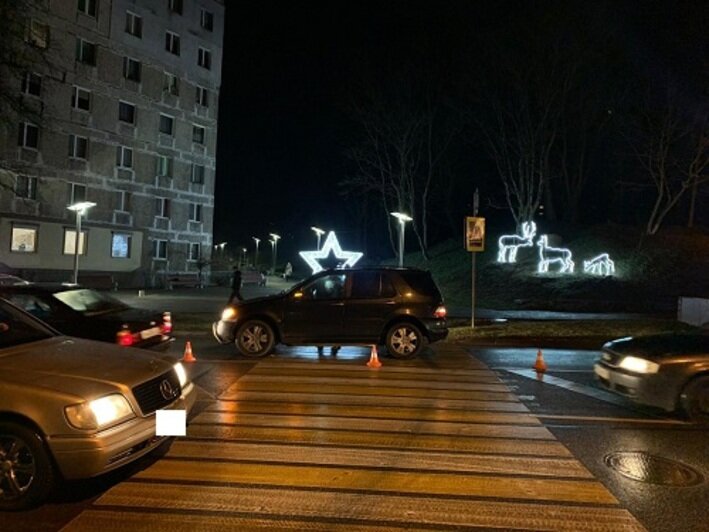 В Калининградской области за сутки сбили двух детей и трёх женщин - Новости Калининграда | Фото: пресс-служба УМВД России по Калининградской области 