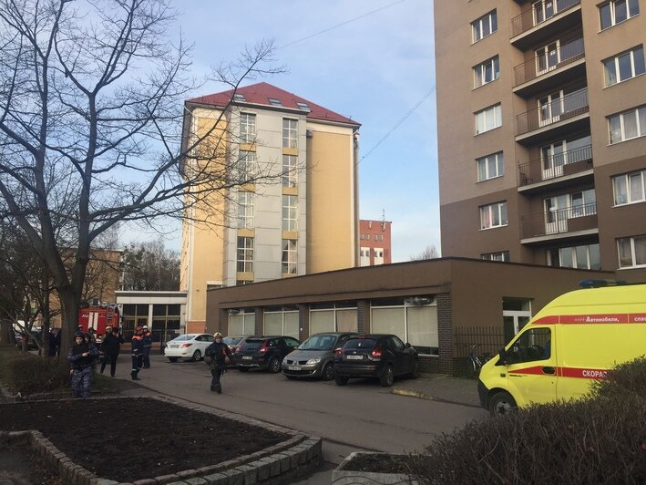 В Калининграде эвакуировали здание Арбитражного суда после сообщения о минировании (фото) - Новости Калининграда | Александр Подгорчук / "Клопс"