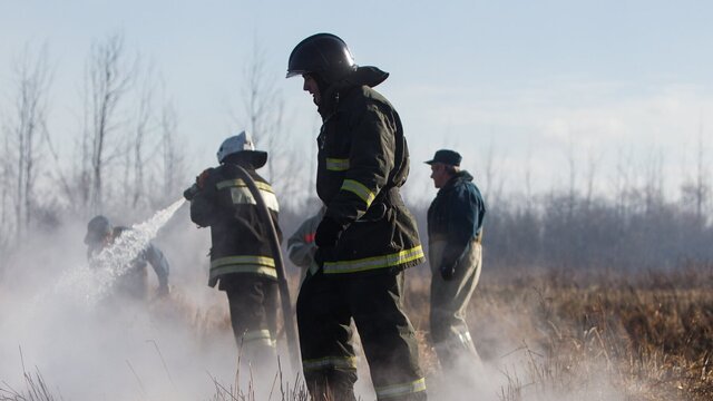 В Калининградской области пожарные 44 раза за сутки выезжали на палы травы  