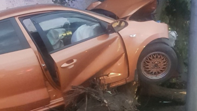 На Портовой в Калининграде легковушка врезалась в дерево, пострадали люди  