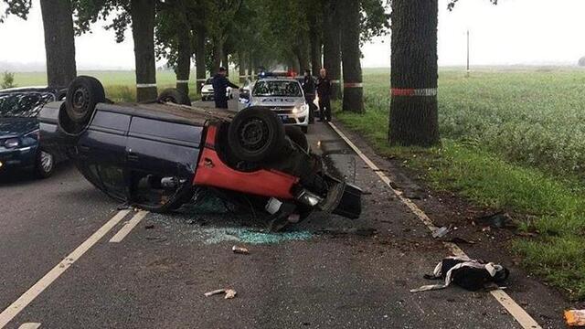 Под Нестеровом легковушка врезалась в дерево, пострадал 19-летний пассажир (фото, видео)