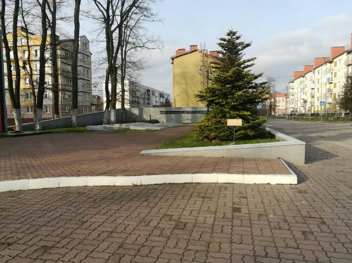 На памятник "Морякам-балтийцам" в Калиниграде установят динамическую подсветку (фото, видео) - Новости Калининграда | Фото: пресс-служба администрации Калининграда