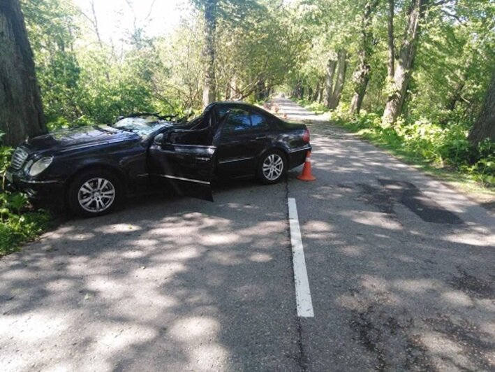 В Зеленоградском районе на машину рухнуло дерево, есть пострадавшие (фото) - Новости Калининграда | Фото: пресс-служба УМВД России по Калининградской области