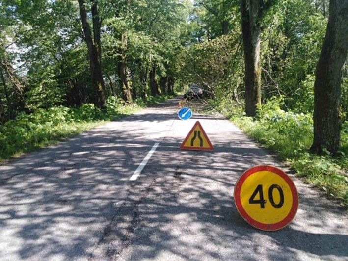 В Зеленоградском районе на машину рухнуло дерево, есть пострадавшие (фото) - Новости Калининграда | Фото: пресс-служба УМВД России по Калининградской области