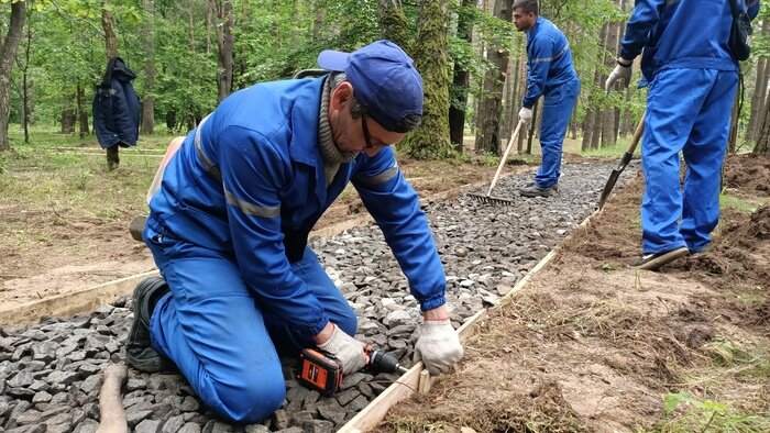 Велодорожки, зоны отдыха и аромат сосен: началось благоустройство парка вокруг "АВТОТОР-Арены" - Новости Калининграда