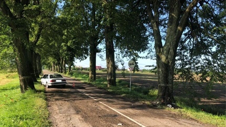  Под Нестеровом легковушка врезалась в дерево, пострадал водитель (фото) - Новости Калининграда | Фото: пресс-служба УМВД России по Калининградской области