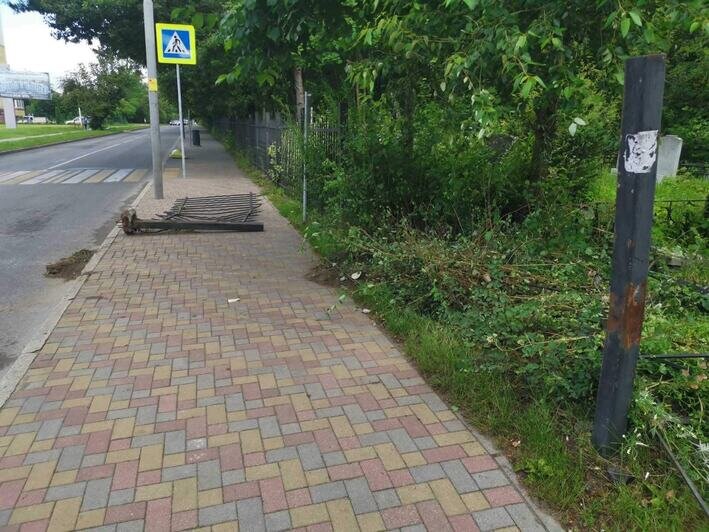 На старом кладбище Калининграда неизвестные снесли ограду и повредили несколько могил - Новости Калининграда | Фото: пресс-служба городской администрации