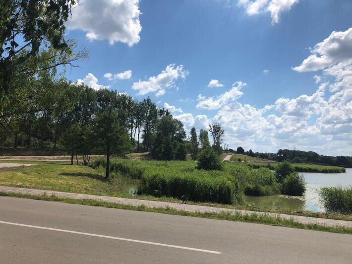 Скалодром, лодочная станция и велодорожки: в Багратионовске благоустраивают парк у озера   - Новости Калининграда | Фото: "Клопс"