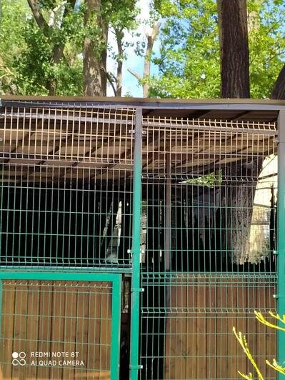 "Загорелась проводка, орёл жив": в музее "ФилоСовия" прокомментировали пожар  - Новости Калининграда | Фото: очевидец