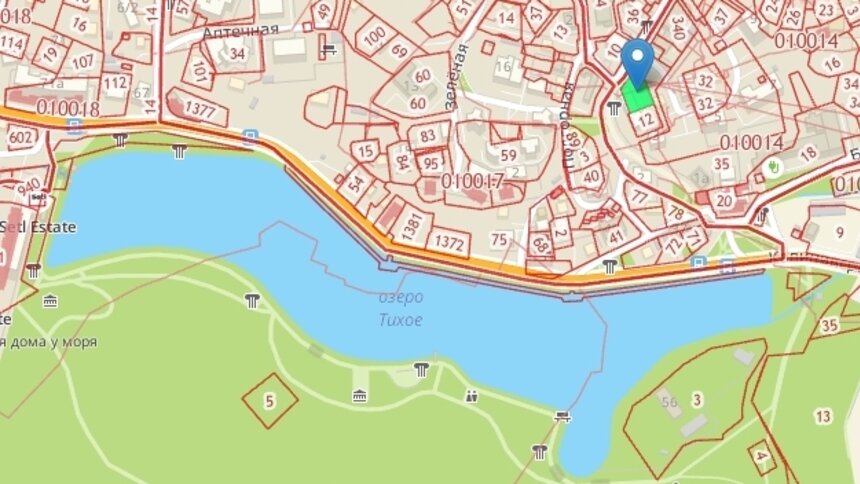 Возле озера в Светлогорске разрешили построить четырёхэтажный дом - Новости Калининграда | Фото: скриншот кадастровой карты