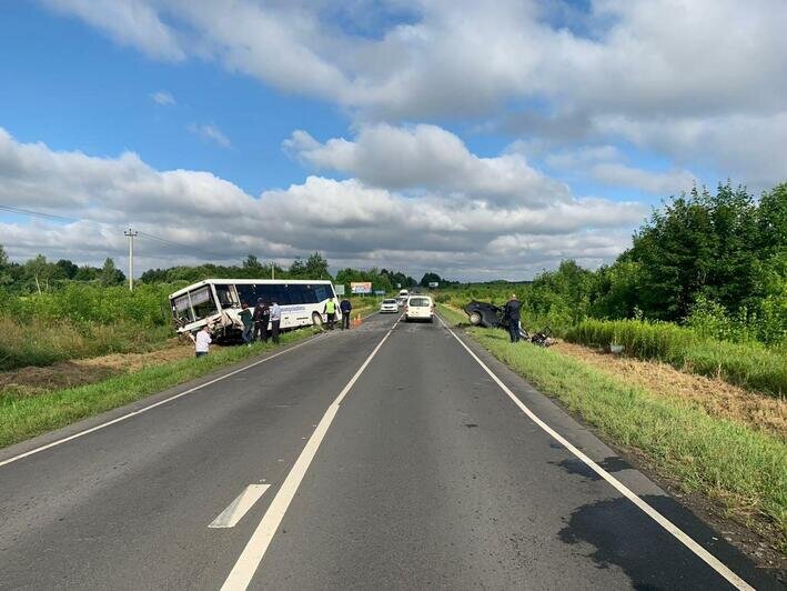 В УМВД рассказали подробности смертельного ДТП с автобусом на светлогорской трассе - Новости Калининграда | Фото: пресс-служба УМВД России по Калининградской области