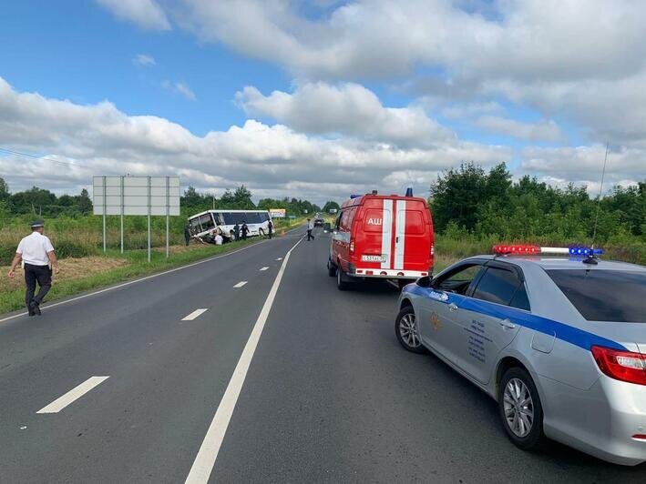 В УМВД рассказали подробности смертельного ДТП с автобусом на светлогорской трассе - Новости Калининграда | Фото: пресс-служба УМВД России по Калининградской области
