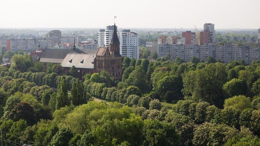 В Калининграде более чем на 100 гектарах земли запретили строительство  - Новости Калининграда | Архив "Клопс"