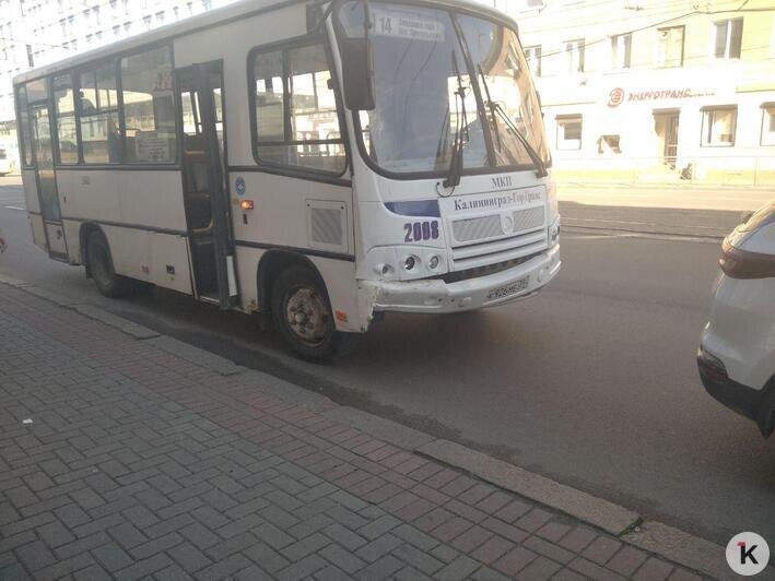 Двух пассажирок автобуса госпитализировали после ДТП на Черняховского (фото) - Новости Калининграда | Фото: Константин Сериков