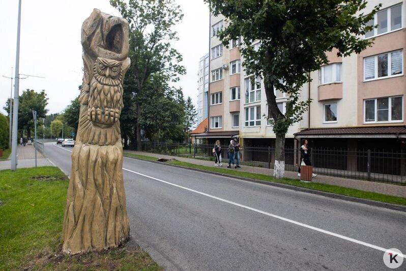 На въезде в Зеленоградск на стволах погибших деревьев вырезали скульптуры (фото) - Новости Калининграда | Фото: Александр Подгорчук / "Клопс"