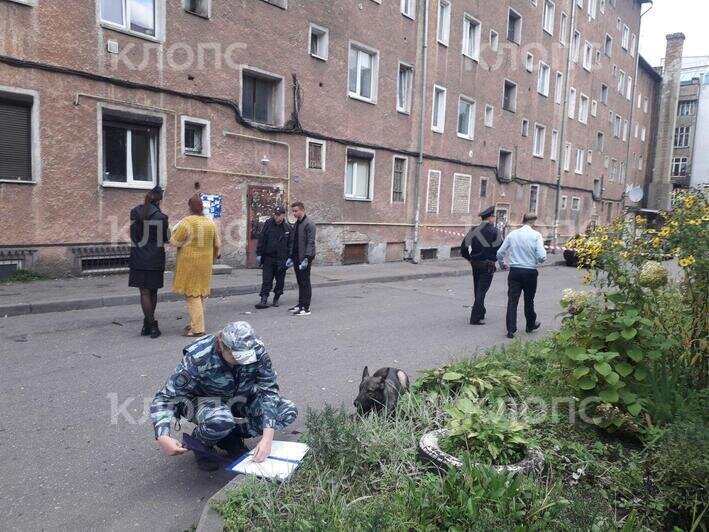На Ленинском проспекте Калининграда произошла стрельба (обновлено) - Новости Калининграда | Фото: Ольга Запивалова / "Клопс"