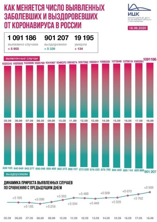 В Калининградской области выявлен 31 случай COVID-19 за сутки - Новости Калининграда