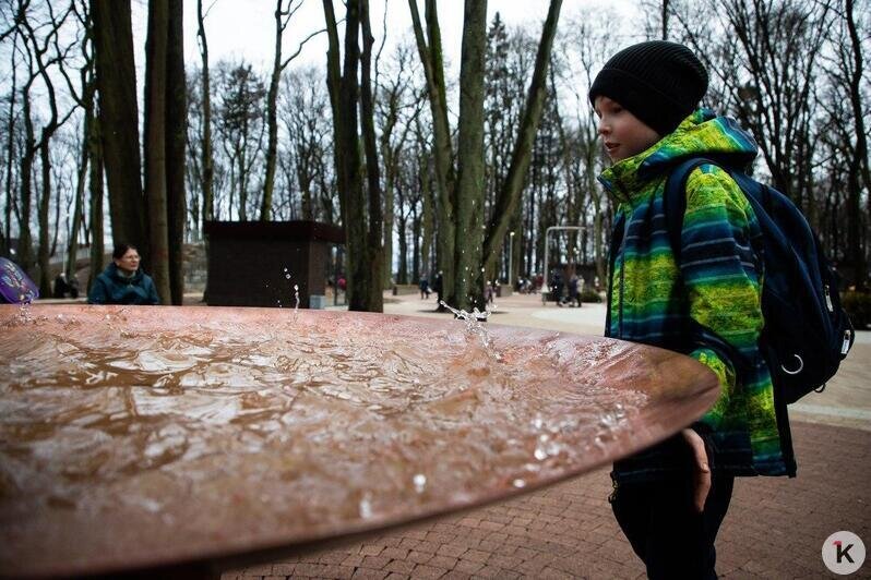 В Гурьевске открыли уникальный Парк пяти чувств (фоторепортаж) - Новости Калининграда | Александр Подгорчук / "Клопс"