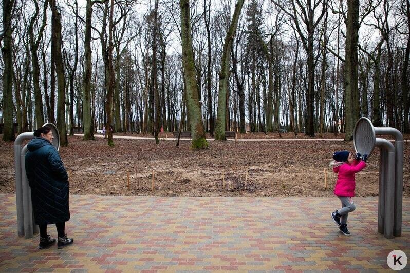 В Гурьевске открыли уникальный Парк пяти чувств (фоторепортаж) - Новости Калининграда | Александр Подгорчук / "Клопс"