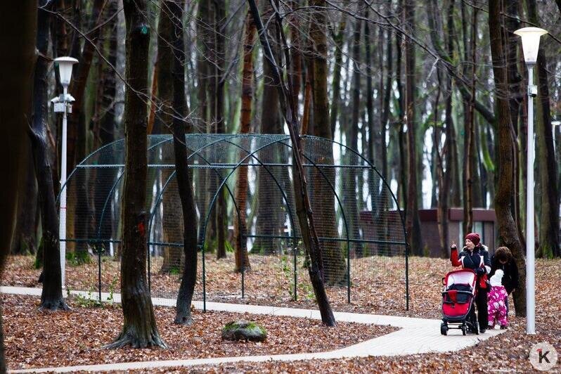 В Гурьевске открыли уникальный Парк пяти чувств (фоторепортаж) - Новости Калининграда | Александр Подгорчук / "Клопс"