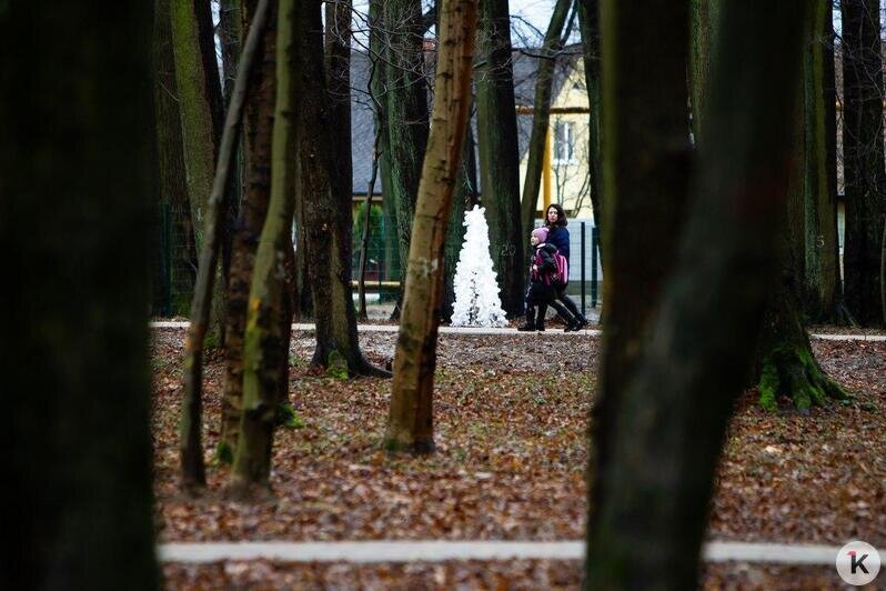 В Гурьевске открыли уникальный Парк пяти чувств (фоторепортаж) - Новости Калининграда | Александр Подгорчук / "Клопс"