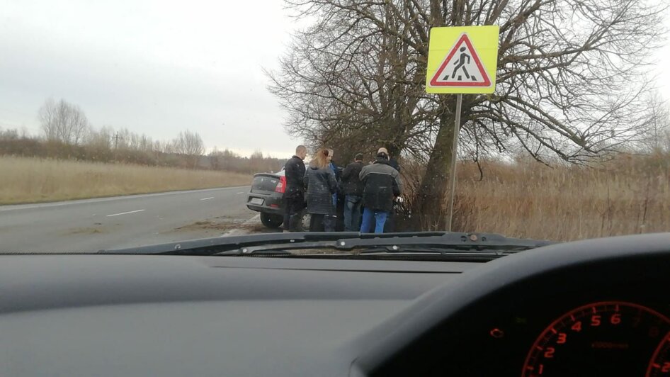 Под Светлым пострадал 57-летний водитель, который уснул за рулём и врезался в дерево - Новости Калининграда | Фото: очевидец