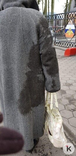 Возле воинской части на ул. Емельянова 90-летняя женщина упала в лужу, поскользнувшись на грязном тротуаре (фото) - Новости Калининграда | Фото: читатель "Клопс"