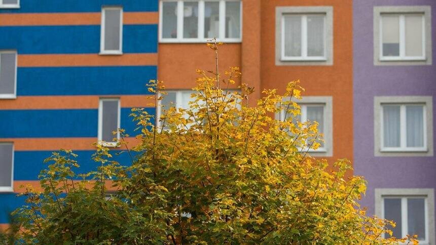 Калининградка разбилась, выпав с седьмого этажа высотки в Центральном районе   - Новости Калининграда | Фото: Архив "Клопс"