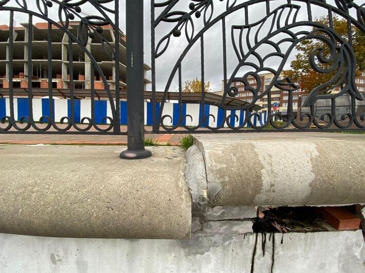 На Острове треснул тротуар на набережной Ветеранов (фото)    - Новости Калининграда | Фото: Александр Подгорчук/ "Клопс"