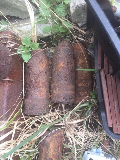 У жителя Светлого в сарае нашли склад оружия и боеприпасов времён войны (фото, видео) - Новости Калининграда | Фото: пресс-служба регионального УМВД