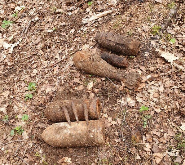 В Калининграде разминировали территорию будущей тренировочной трассы для велосипедистов - Новости Калининграда | Фото: «АВТОТОР Холдинг»